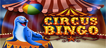 Beautifully performing Seals, Rabbits out of a Hat, what more could you want from Circus Bingo? This game is set within the huge Circus Tent and the sounds and images will make you want to stay for more. And while attending one of these shows might leave you with some unforgettable memories, this game will give you something even better, jackpots and plenty of other great prizes.